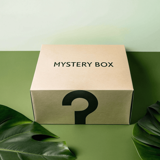 Mystery Box Beauty